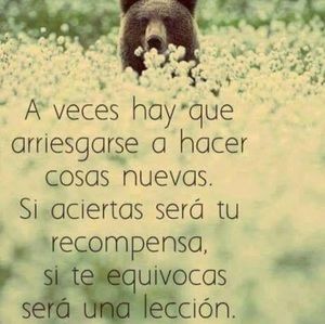 Meet your Posher, Paola